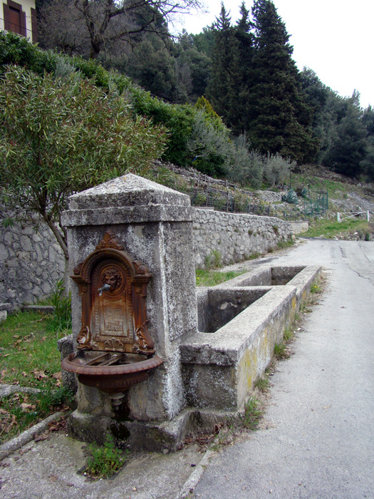 Fontanili del Lazio